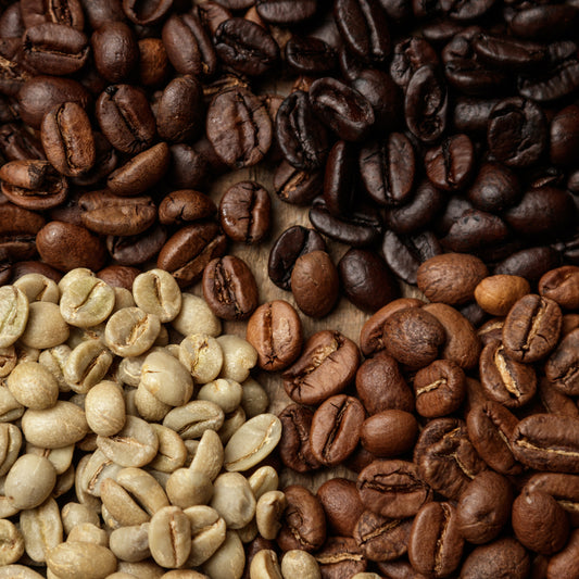 Types of Coffee Beans