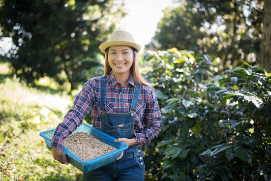 A smiling woman in a plaid shirt and overalls holds a blue basket of grains while standing in a lush coffee plantation under bright sunlight.