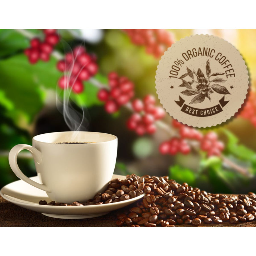 A steaming cup of coffee sits on a saucer surrounded by coffee beans, with vibrant coffee cherries and green leaves in the background, highlighting a "100% Organic Coffee" label.