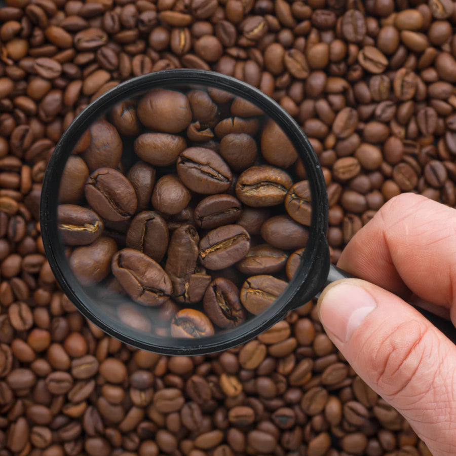 A hand holds a magnifying glass over a pile of coffee beans, highlighting their texture and details against a background of more coffee beans.