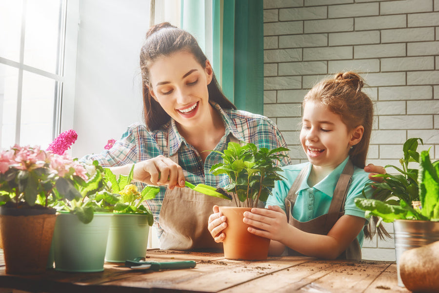 A woman and a girl smile as they pot a plant together at a wooden table, surrounded by colorful flowers and greenery, with sunlight streaming through a nearby window.