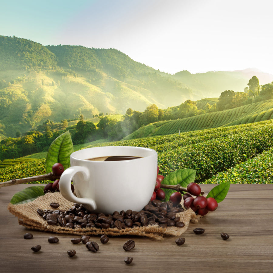 A steaming cup of coffee sits on a burlap mat surrounded by coffee beans and red coffee cherries, with lush green hills and a bright sky in the background.