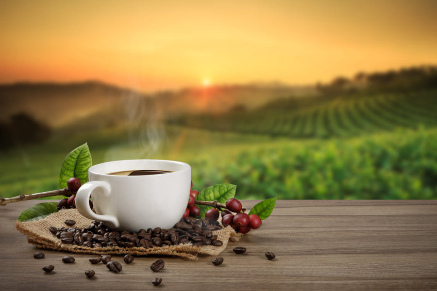 A steaming cup of coffee sits on a wooden table surrounded by coffee beans and red coffee cherries, with a lush green landscape and a sunset in the background.