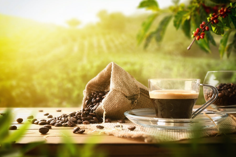 A clear glass cup of coffee sits on a saucer beside a burlap sack spilling coffee beans, with a lush green landscape and sunlight in the background.