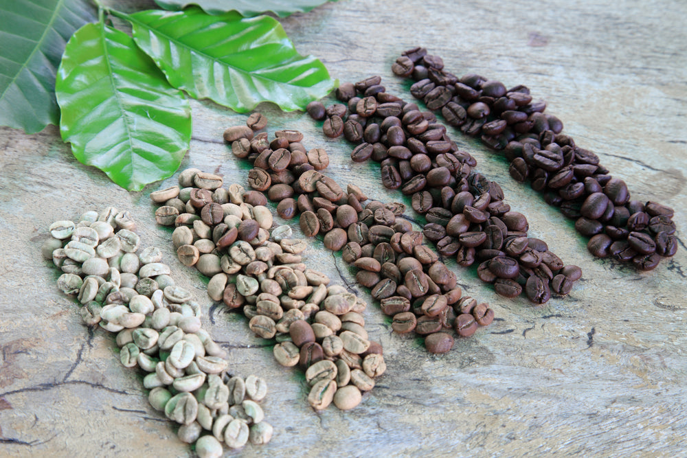 Five varieties of coffee beans, ranging from green to dark roasted, are arranged in rows on a wooden surface, accompanied by green coffee leaves in the background.