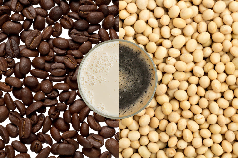 Four Delicious Ways to Add Soy Milk to Alex’s Low Acid Organic Coffee