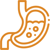 Orange line drawing of a stomach, partially filled with liquid and bubbles, on a light background, symbolizing digestion or stomach-related health.