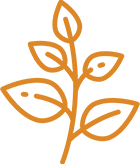 Simple orange line drawing of a plant with five leaves on a light gray background.