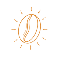 A stylized coffee bean is shown in the center with radiating arrows around it, symbolizing freshness and flavor, suitable for an ecommerce product related to coffee.